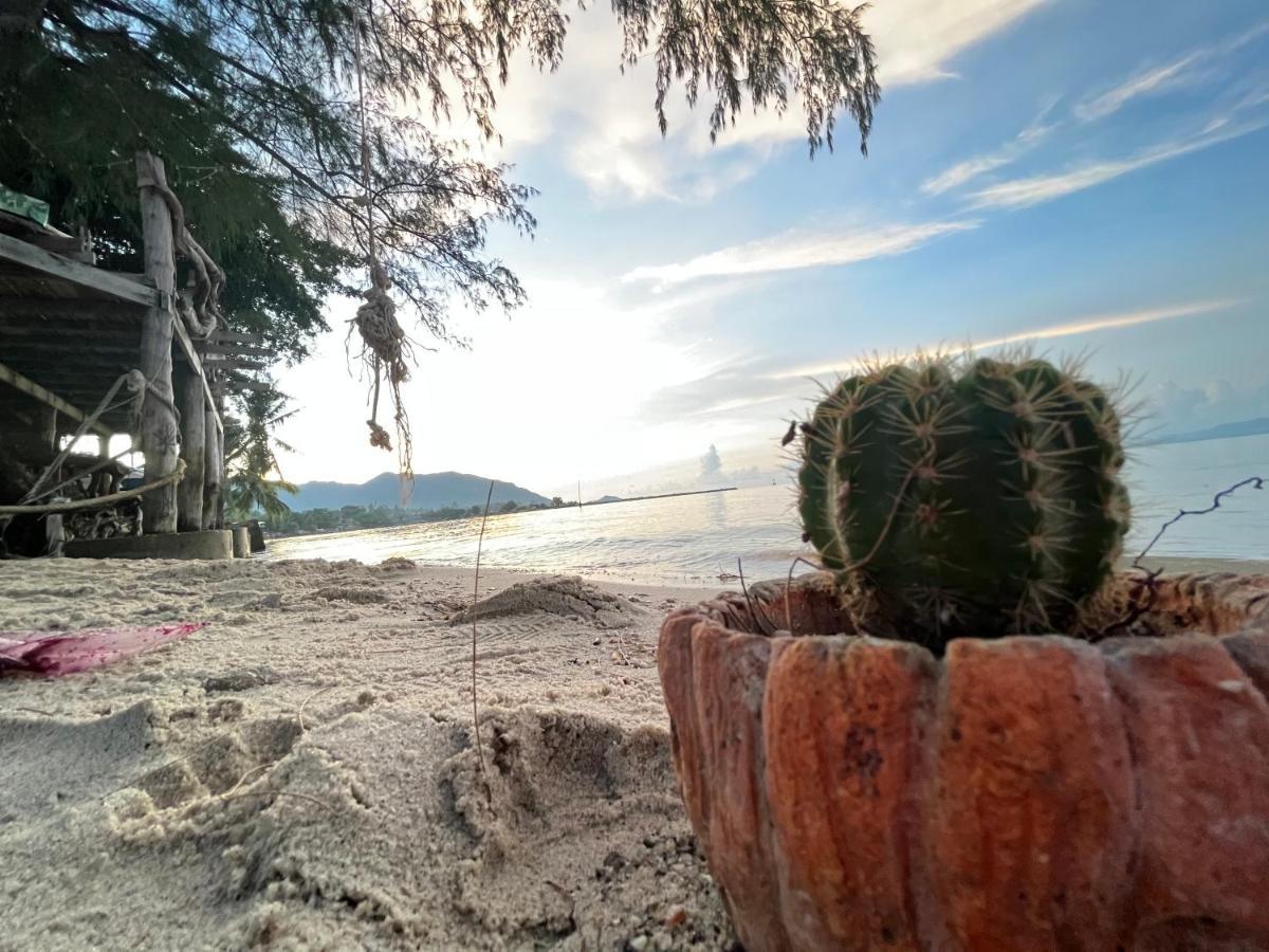 Отель Phangan Dream Box Баан Тай Экстерьер фото